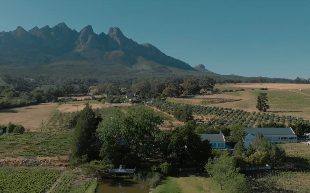 Stellenbosch Wedding Video