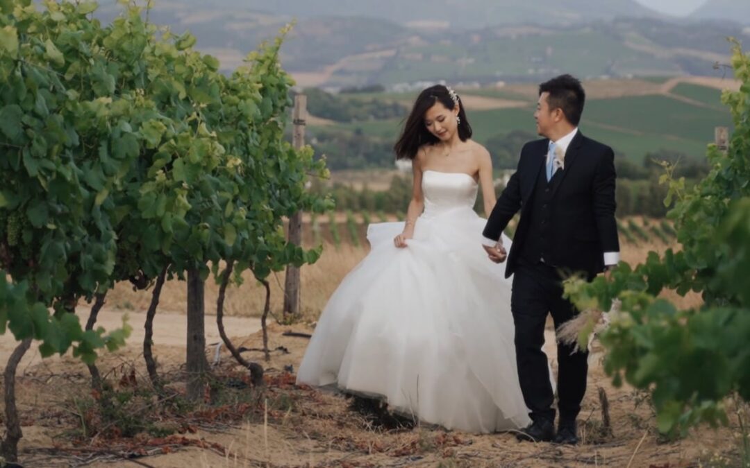 Landtscap Wedding Video